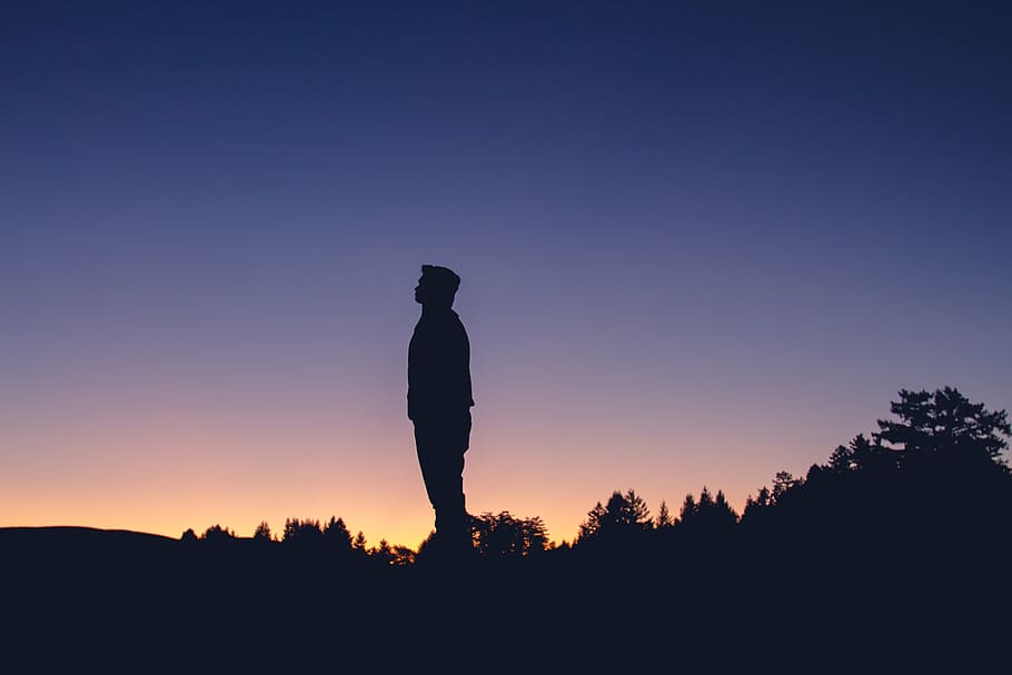 silhouette of person standing surrounded by leafed trees, man HD wallpaper