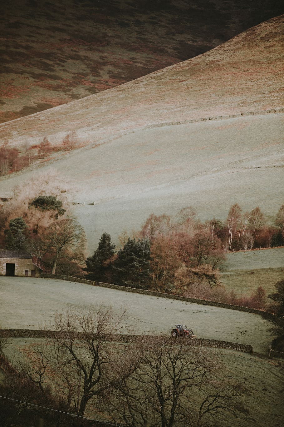 Peak District, farm field painting, hill, landscape, grass, tree HD wallpaper