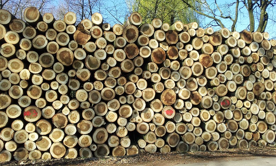 wood, stack, trunks, abundance, tree, large group of objects HD wallpaper