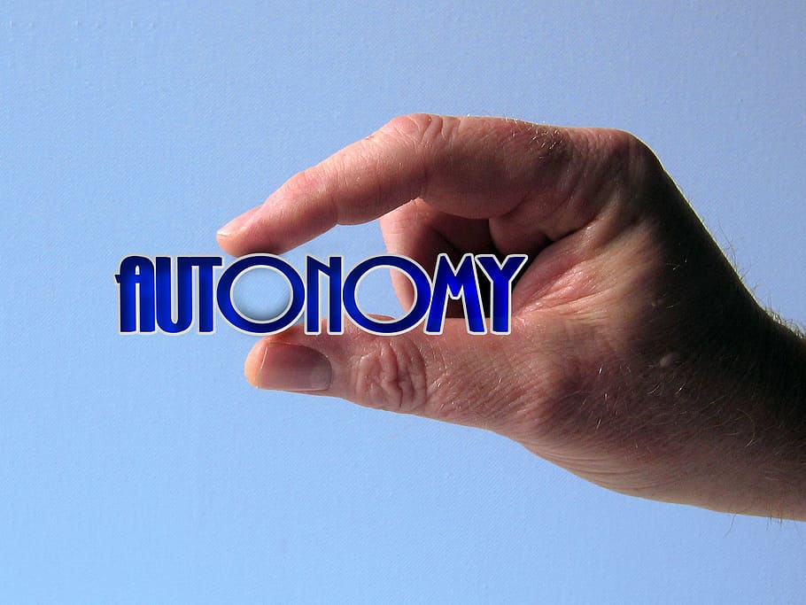 autonomy, hand, keep, finger, fragile, protection, local government law HD wallpaper