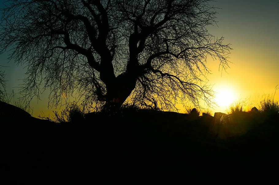 sunset, namibia, nature, back light, sunlight, mood, evening HD wallpaper