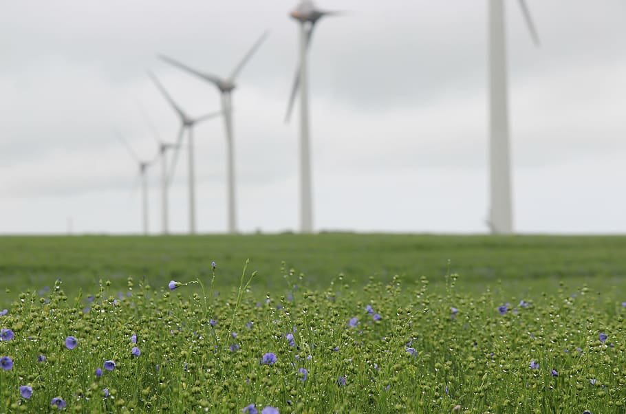 Wind Turbine, Lin, France, Opal Coast, landscape, wind power, HD wallpaper