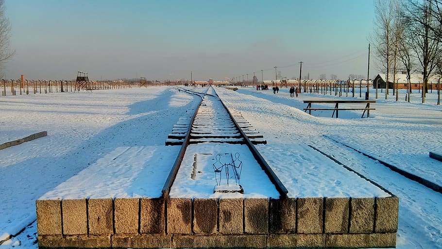 auschwitz, poland, impasse, extermination camp, snow, cold HD wallpaper