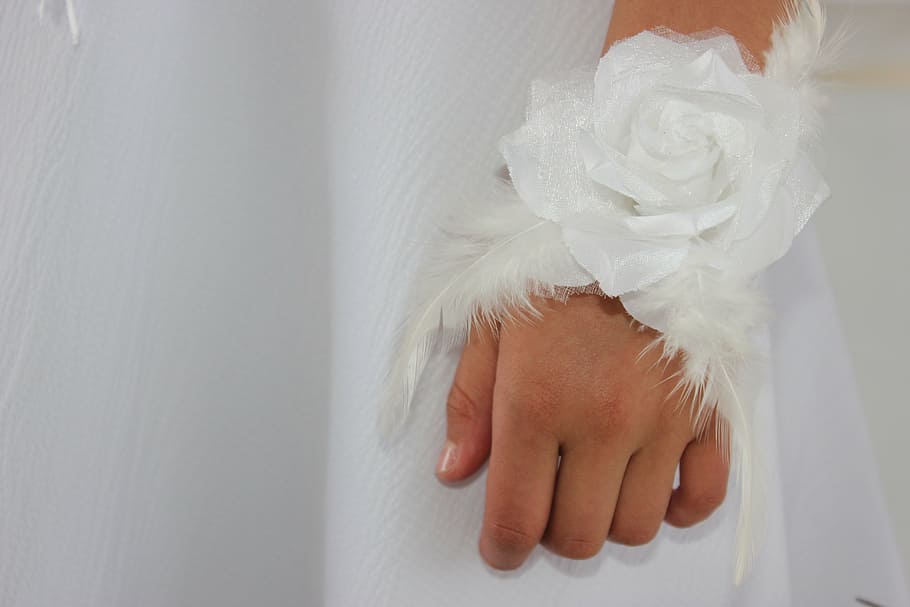 hands, child, fingers, white, roses, one person, white color HD wallpaper