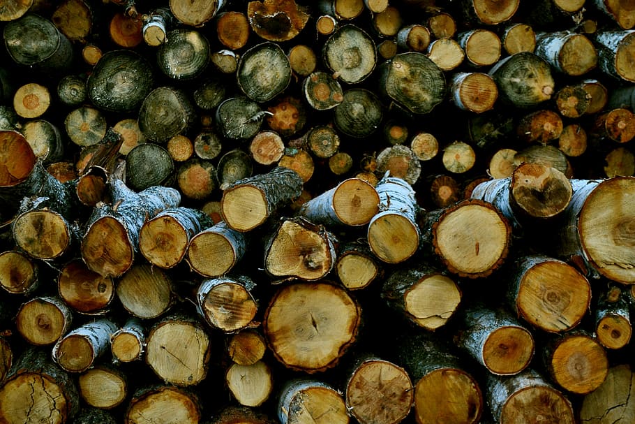 logs, birch, tree, firewood, stump, timber, full frame, lumber industry HD wallpaper