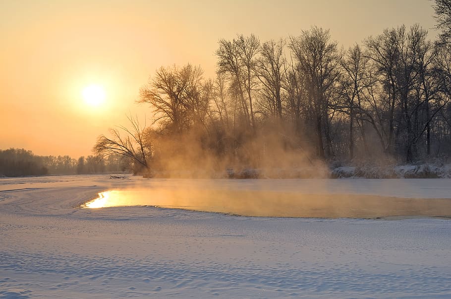 snow cap ground near body of water with withered trees on background during daytime HD wallpaper