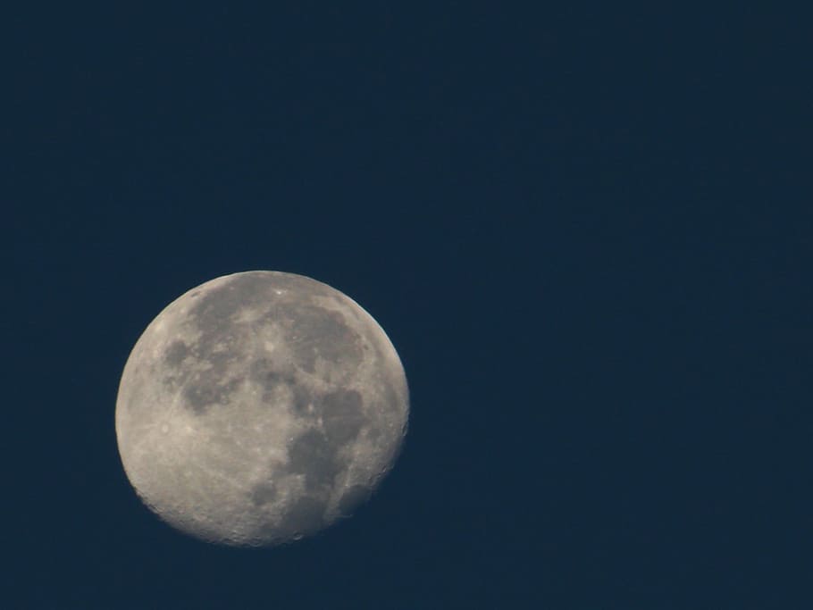 moon, space, lunar, astronomy, celestial, night, sky, copy space HD wallpaper