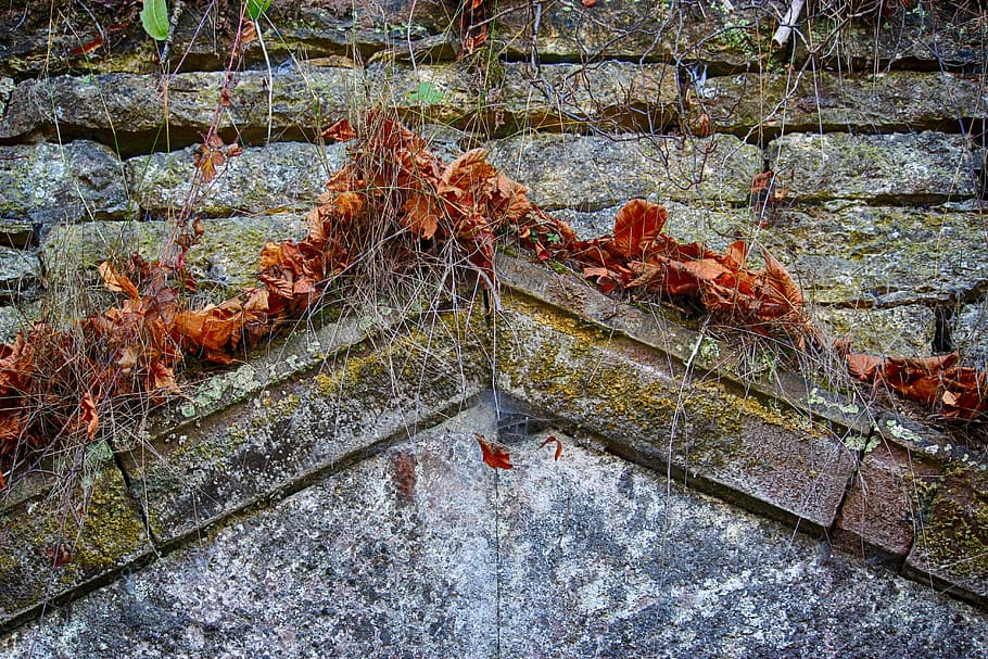 grotto, stones, ledge, stone first, torspitze, leaves, autumn HD wallpaper
