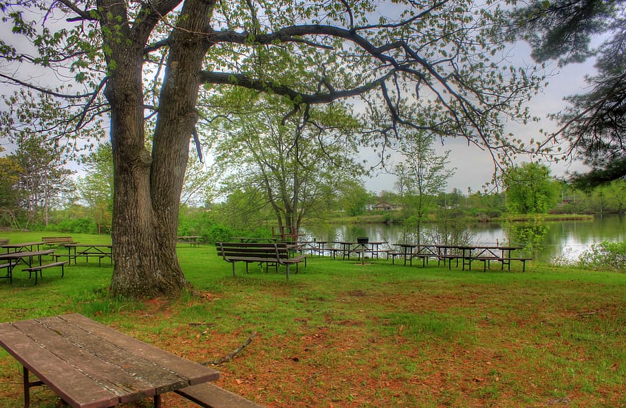 Picnic Area by the lake at Council Grounds State Park, Wisconsin, HD wallpaper
