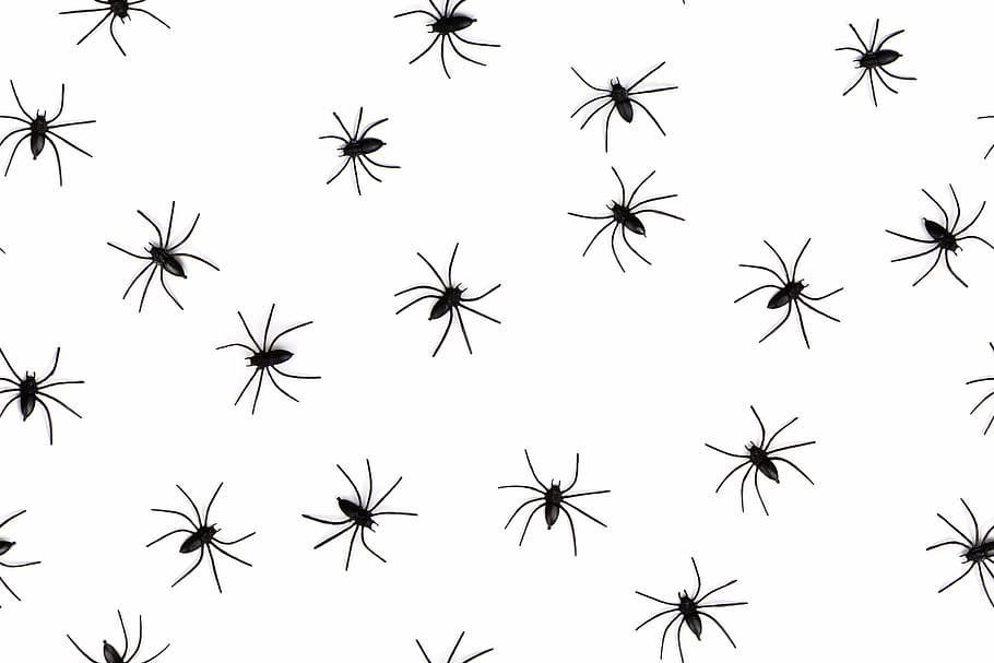 black spiders illustration, animals, arachnophobia, seamless HD wallpaper