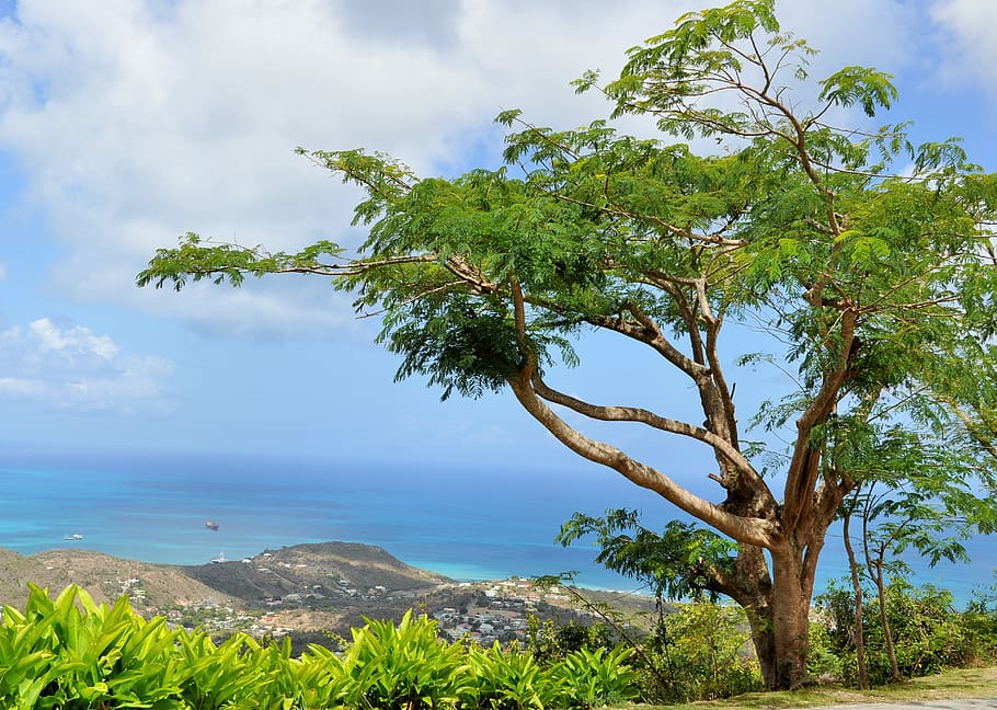 island, paradise, panorama, sea, holiday, tropical, caribbean, HD wallpaper