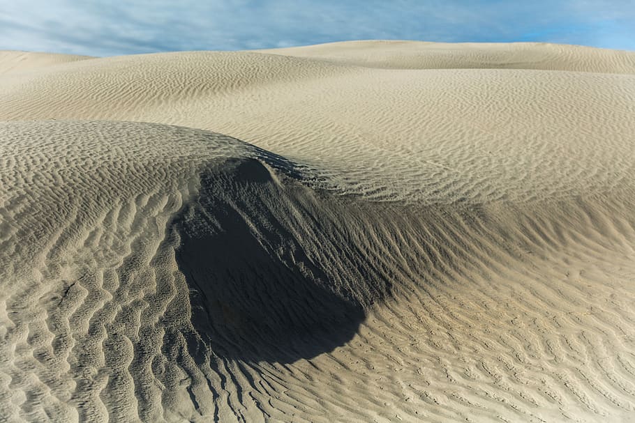 desert under clear sky, desert at daytime, sand, dune, ripple HD wallpaper