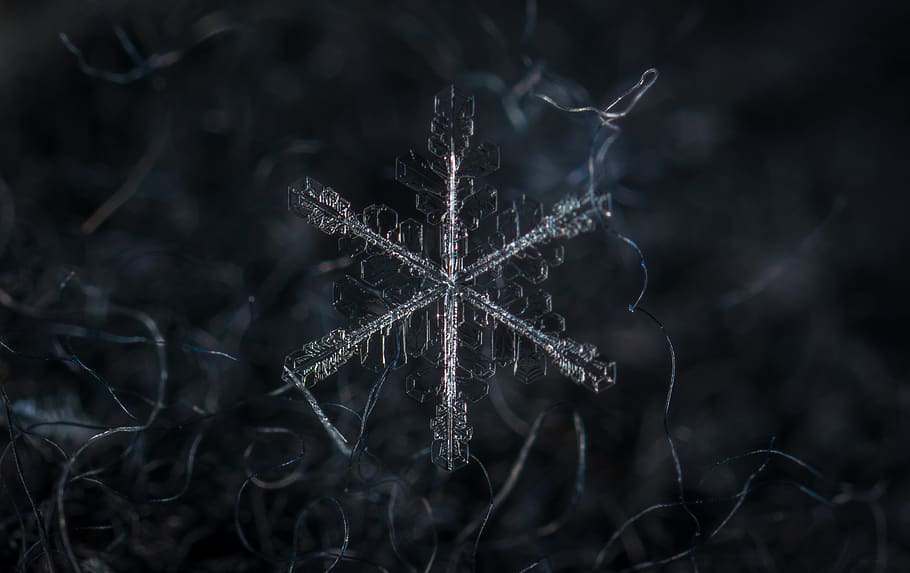snowflake, macro, wool, close-up, nature, no people, cold temperature HD wallpaper