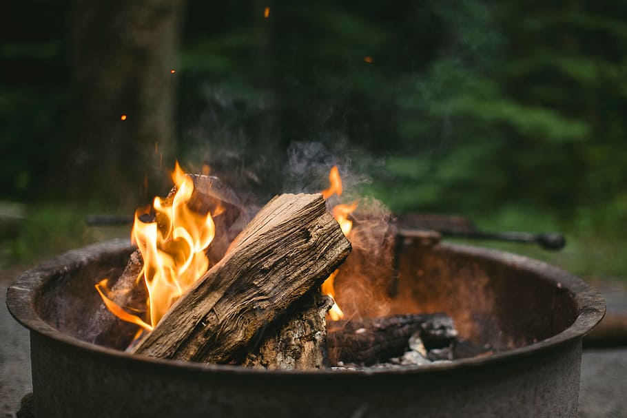 round black firepit, wood, bonfire, campfire, trees, ash, heat HD wallpaper