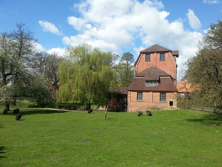 mill, meadow, river landscape, nature, pasture, architecture HD wallpaper