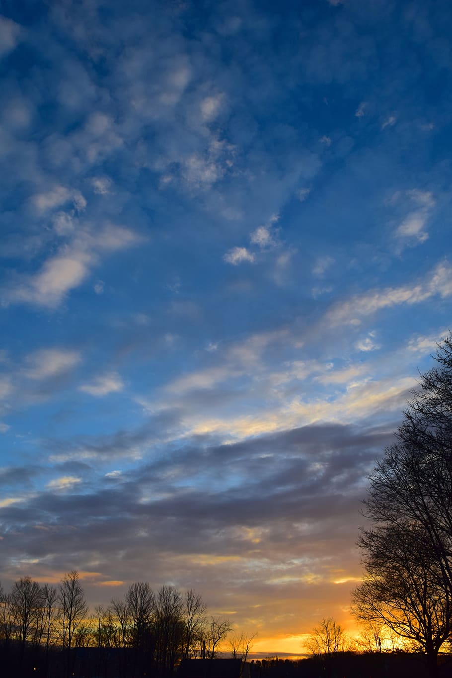 HD wallpaper: landscape, sunset, winter, field, trees, clouds, sky ...