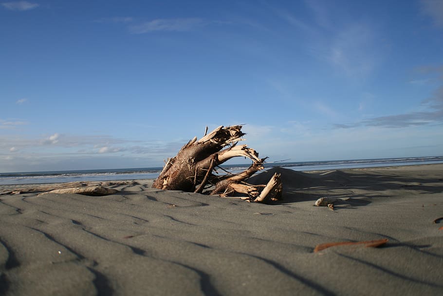 beach, wood, sand, ocean, coast, shore, seascape, coastline HD wallpaper