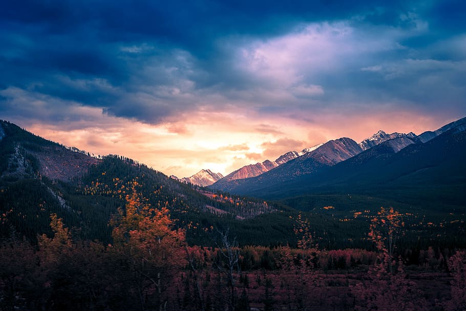 photography of trees, orange trees near mountain at daytime, cloud HD wallpaper