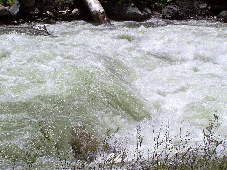 Water, River, Stream, Landscape, gushing water, natural, creek HD wallpaper