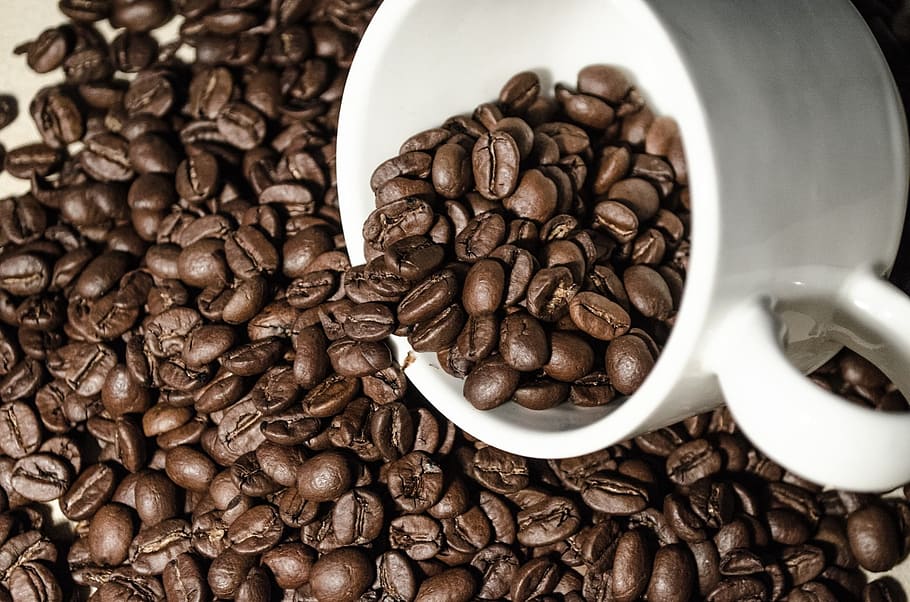 roasted coffee beans in white coffee cup, aroma, aromatic, beverage HD wallpaper