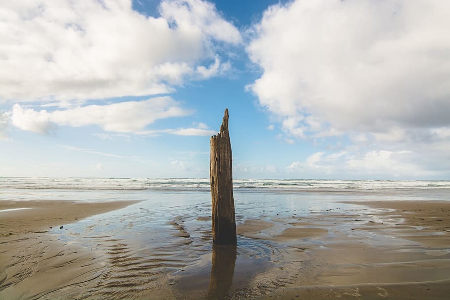 brown log on seashore, sand, water, beach, clouds, sky, stump HD wallpaper