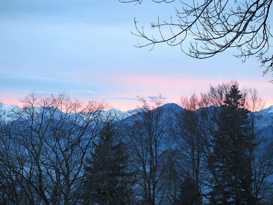 trees, sunset, mountains, sky, bare tree, plant, branch, tranquility HD wallpaper