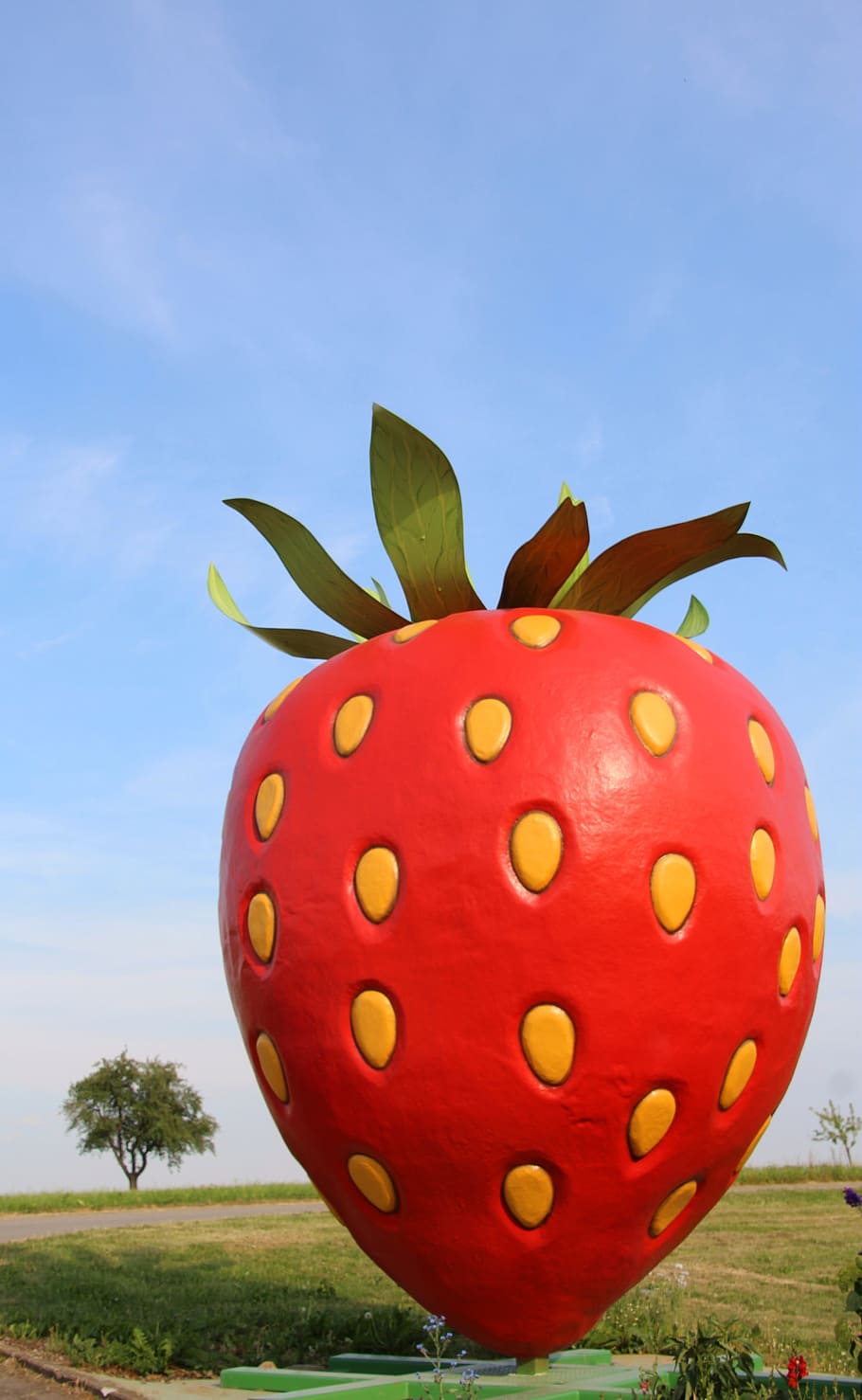Strawberry, Tree, Sky, plant, grass, red, day, leaf, nature HD wallpaper
