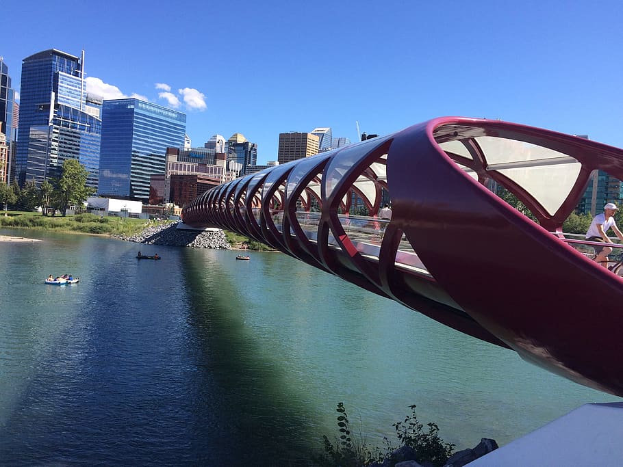 man riding bicycle crossing bridge, Calgary, Alberta, Canada HD wallpaper
