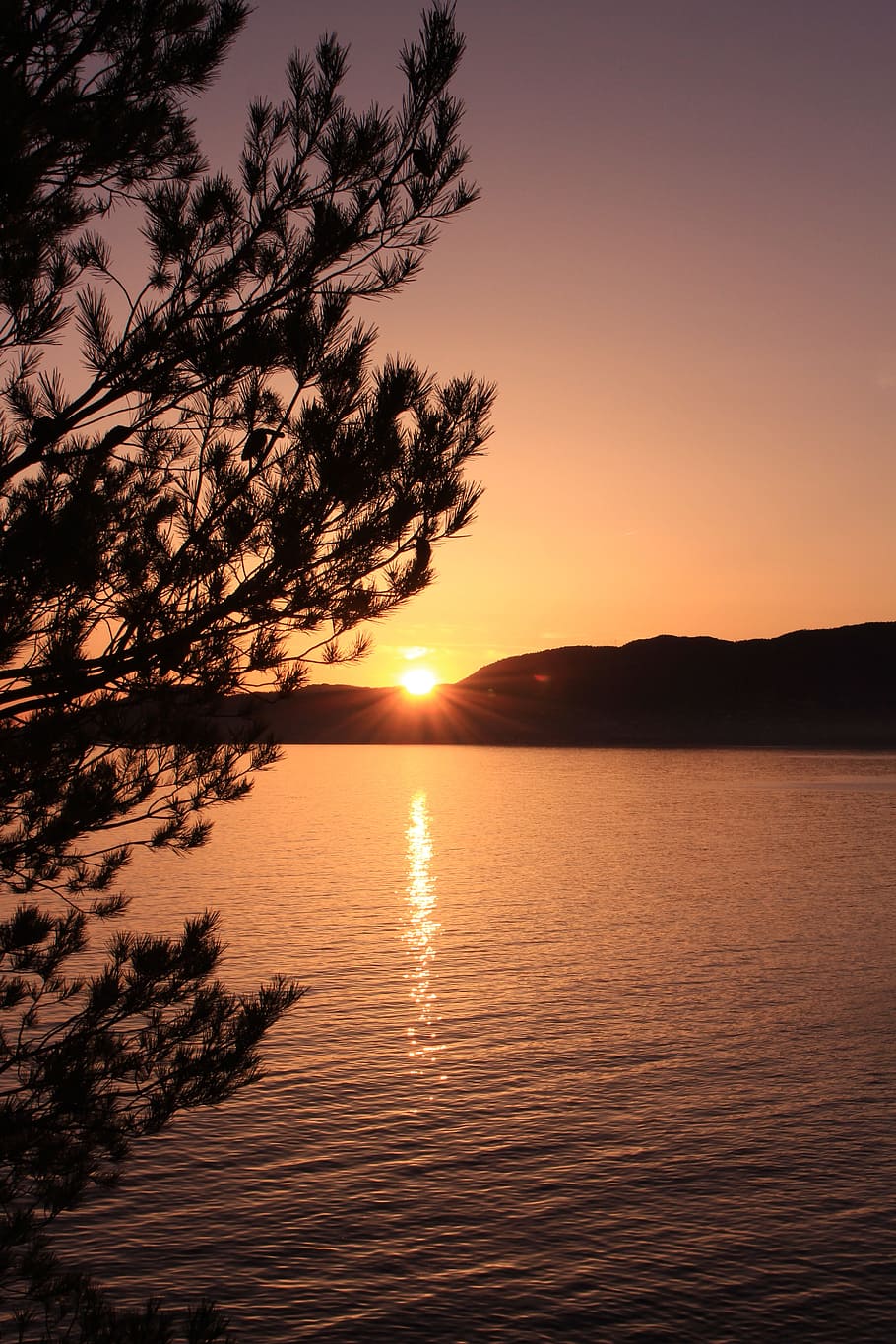 Sun, Contrast, Day, Sunset, side, against day, sky, nature HD wallpaper