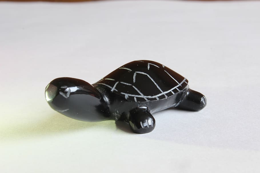turtle, crafts, decoration, studio shot, indoors, no people HD wallpaper