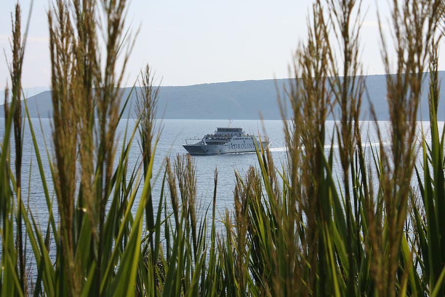 ferry, jadrolinija, ship, plant, water, nature, day, no people HD wallpaper