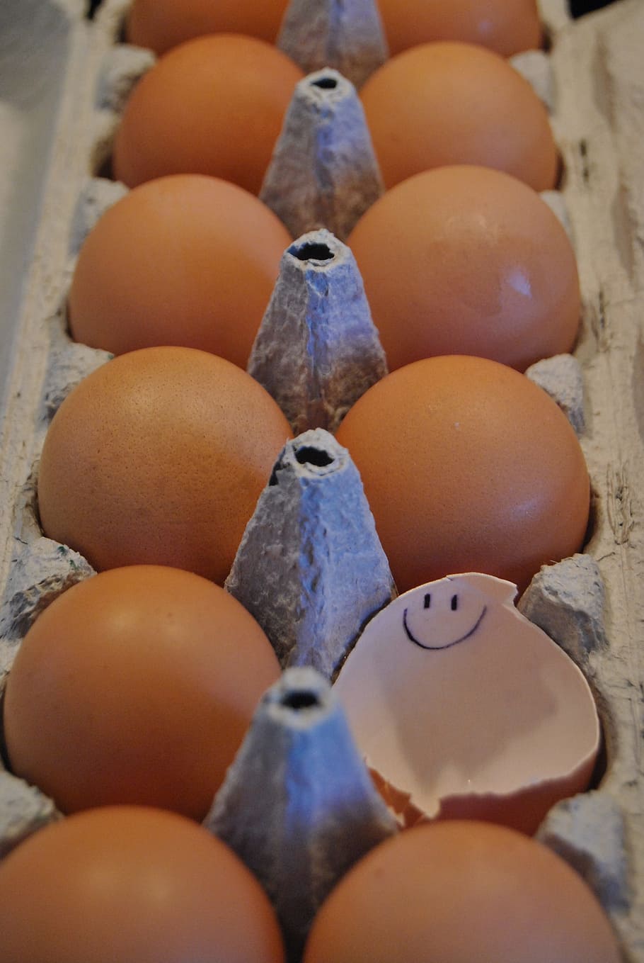 eggshell, smile, cheerful, cute, food, wellbeing, food and drink HD wallpaper