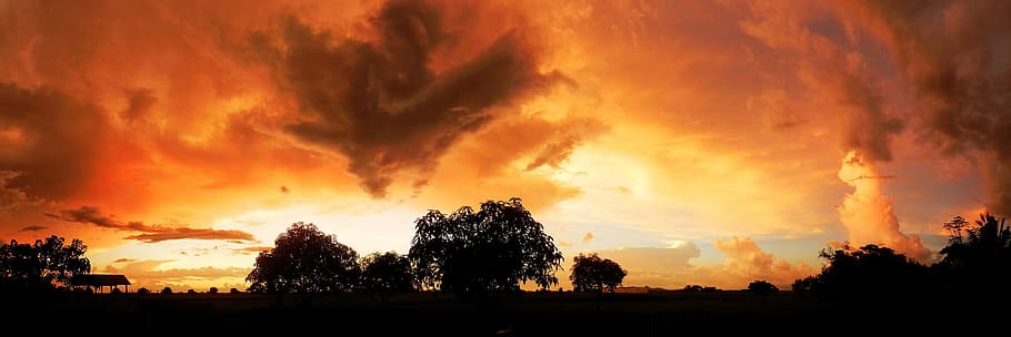 Sunset, Nature, Plain, silhouette, orange color, dramatic sky HD wallpaper