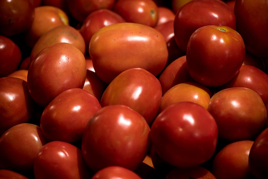 tomato, vegetable, food, food and drink, healthy eating, wellbeing HD wallpaper