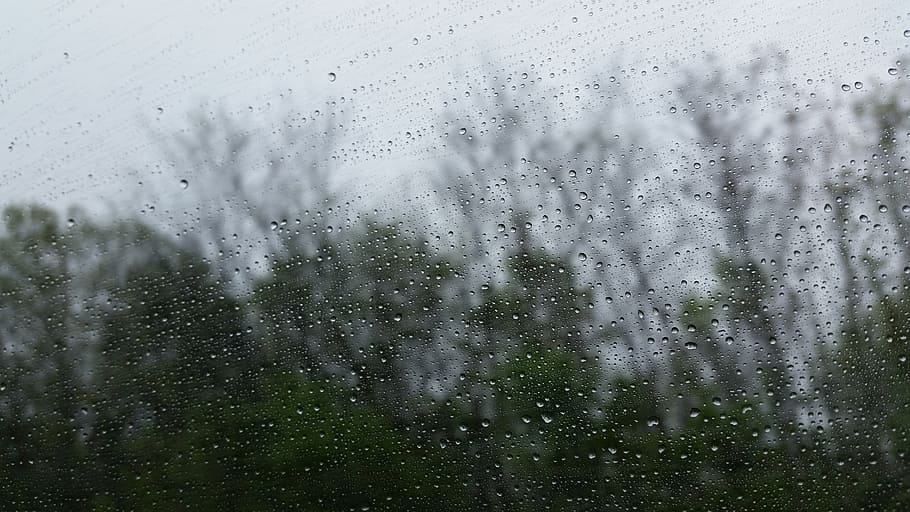clear glass window with moist, rain, weather, droplets, raining HD wallpaper