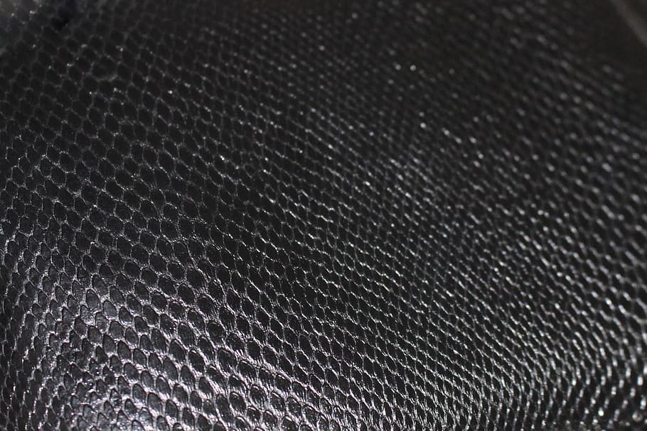 HD wallpaper: leather, snake, bag, materials, stuff, black, fashion ...