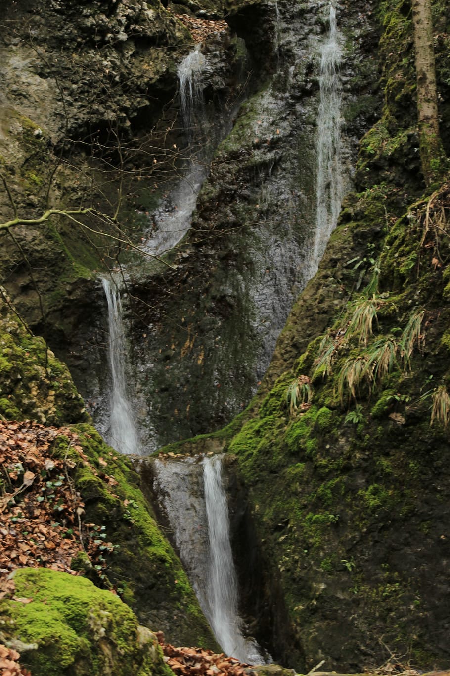 water, river, flow, waterfall, nature, stream, forest, outdoors HD wallpaper
