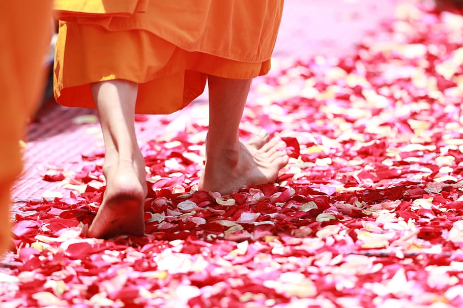 person stepping on red flower petals, monk, walking, rose petals