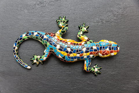 multicolored lizard, gecko, mosaic, spain, barcelona, slate HD wallpaper
