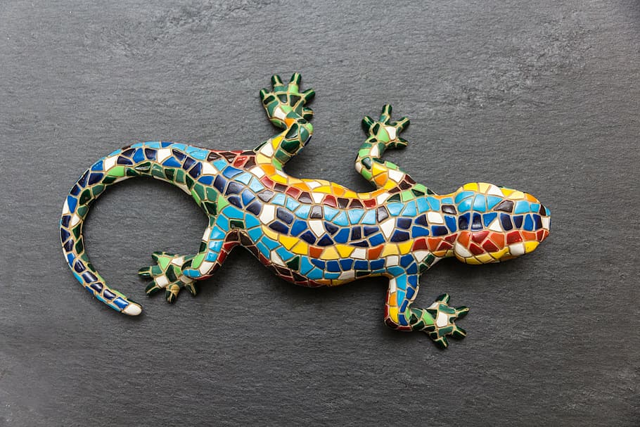 multicolored lizard, gecko, mosaic, spain, barcelona, slate, colorful, HD wallpaper
