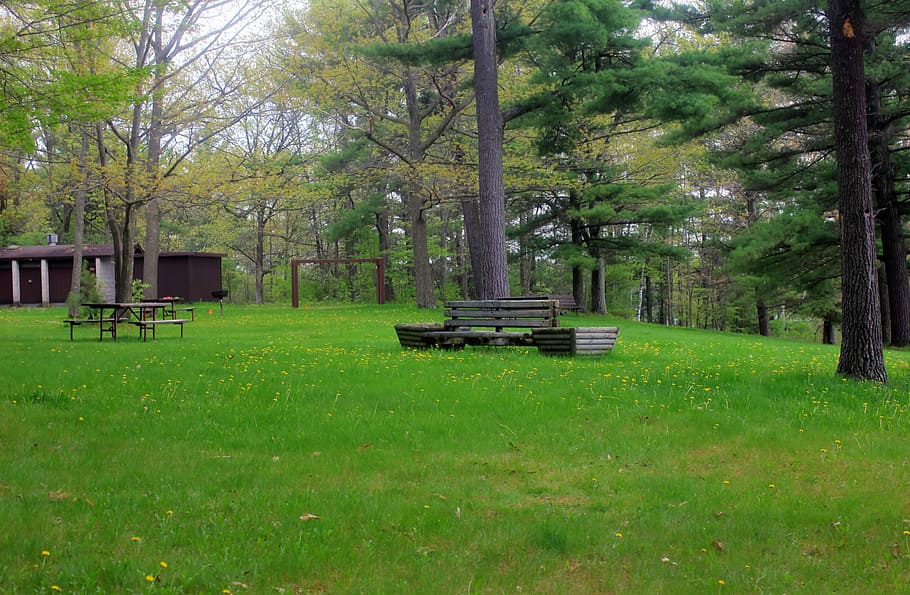 Bench with grassy field at Council Grounds State Park, Wisconsin HD wallpaper