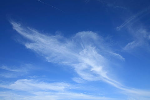 clouds, sky, cirrus, nature, blue, white, weather, air, day HD wallpaper