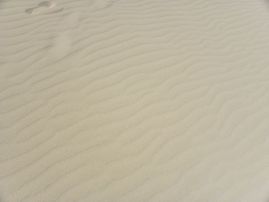 background, texture, sand, beige, desert, dune, full frame HD wallpaper