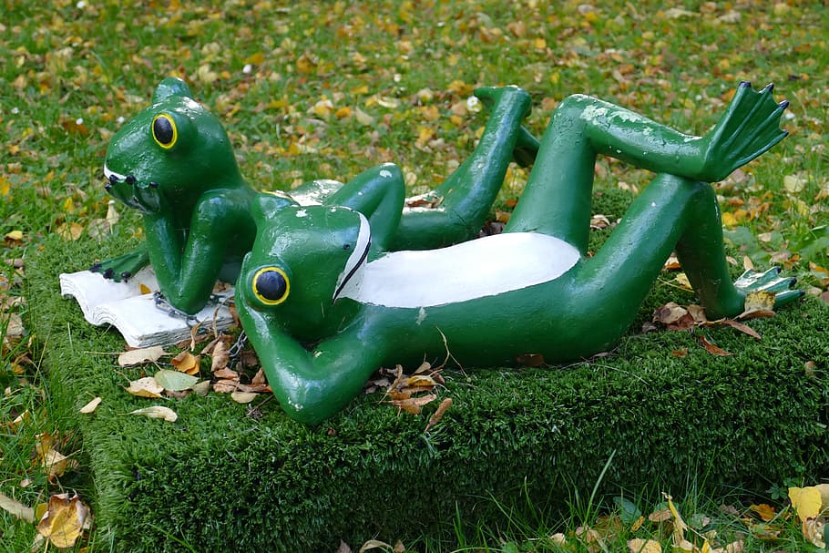 frog, frogs, pair, lying, dormant, relax, cute, figure, funny HD wallpaper