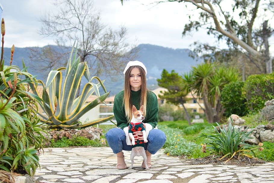 woman wearing green crew-neck long-sleeved shirt holding white and brown dog on pathway beside plants during daytime, woman holding white chihuahua on white ceramic tiles near green plants, HD wallpaper
