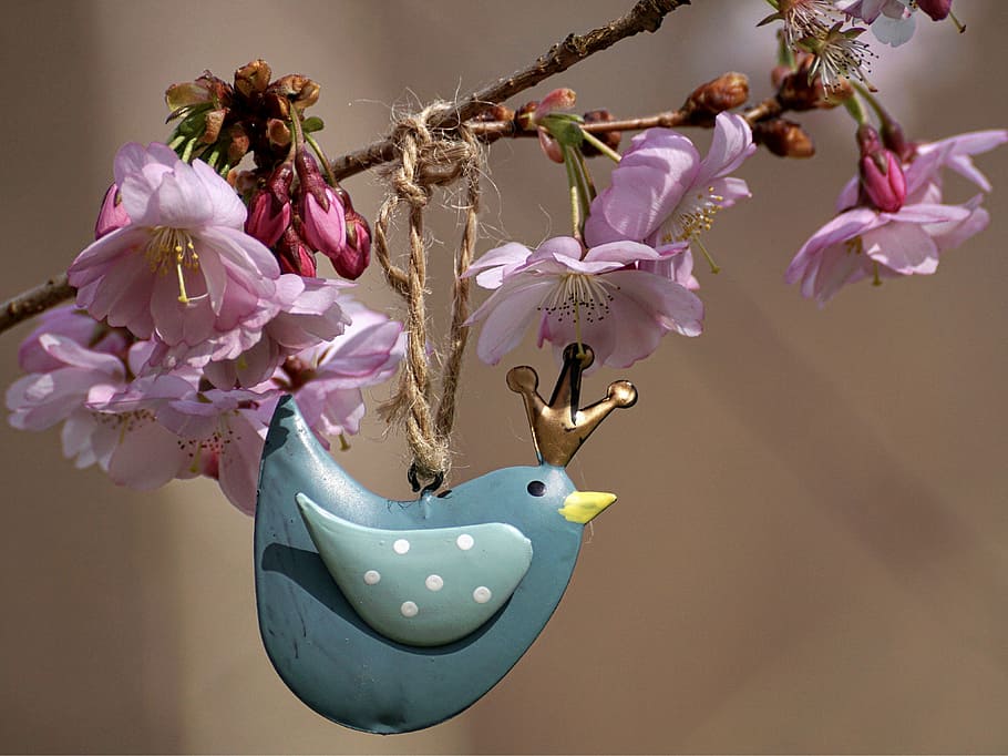 blue bird hanging decor, cherry blossoms, pink, flower, nature