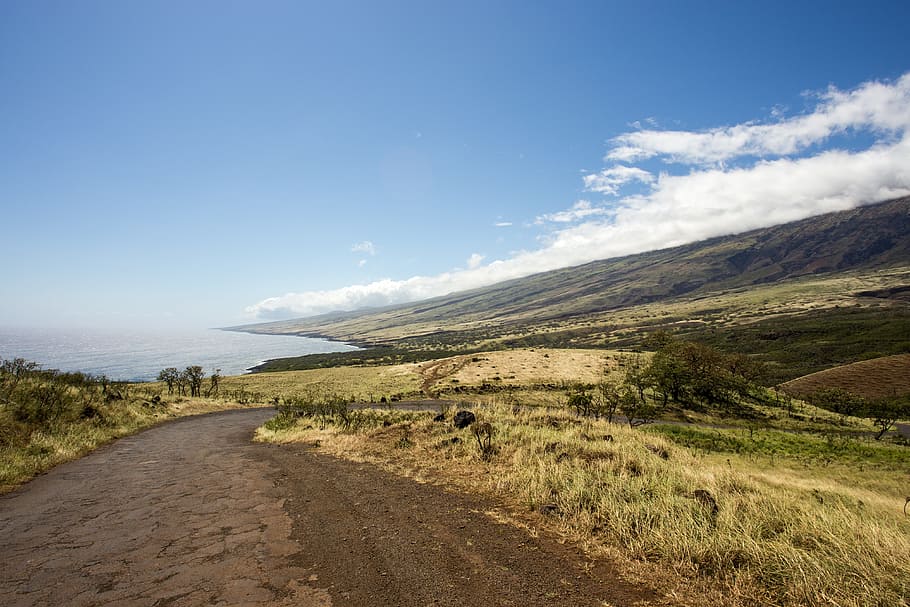 dirt road and grass field, track, street, unpaved, offroad, travel