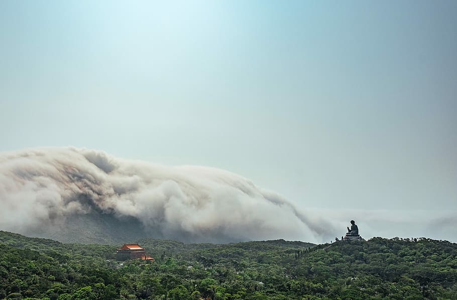 forest fire near temple, person sitting on grass facing mountain HD wallpaper
