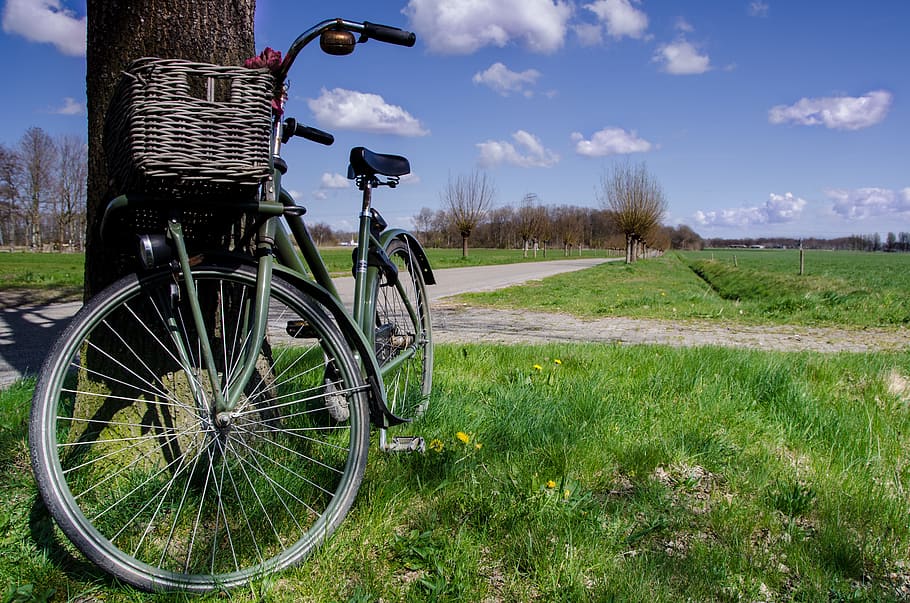green dutch bike against tree trunk, bicycle, blue, sky, parked HD wallpaper