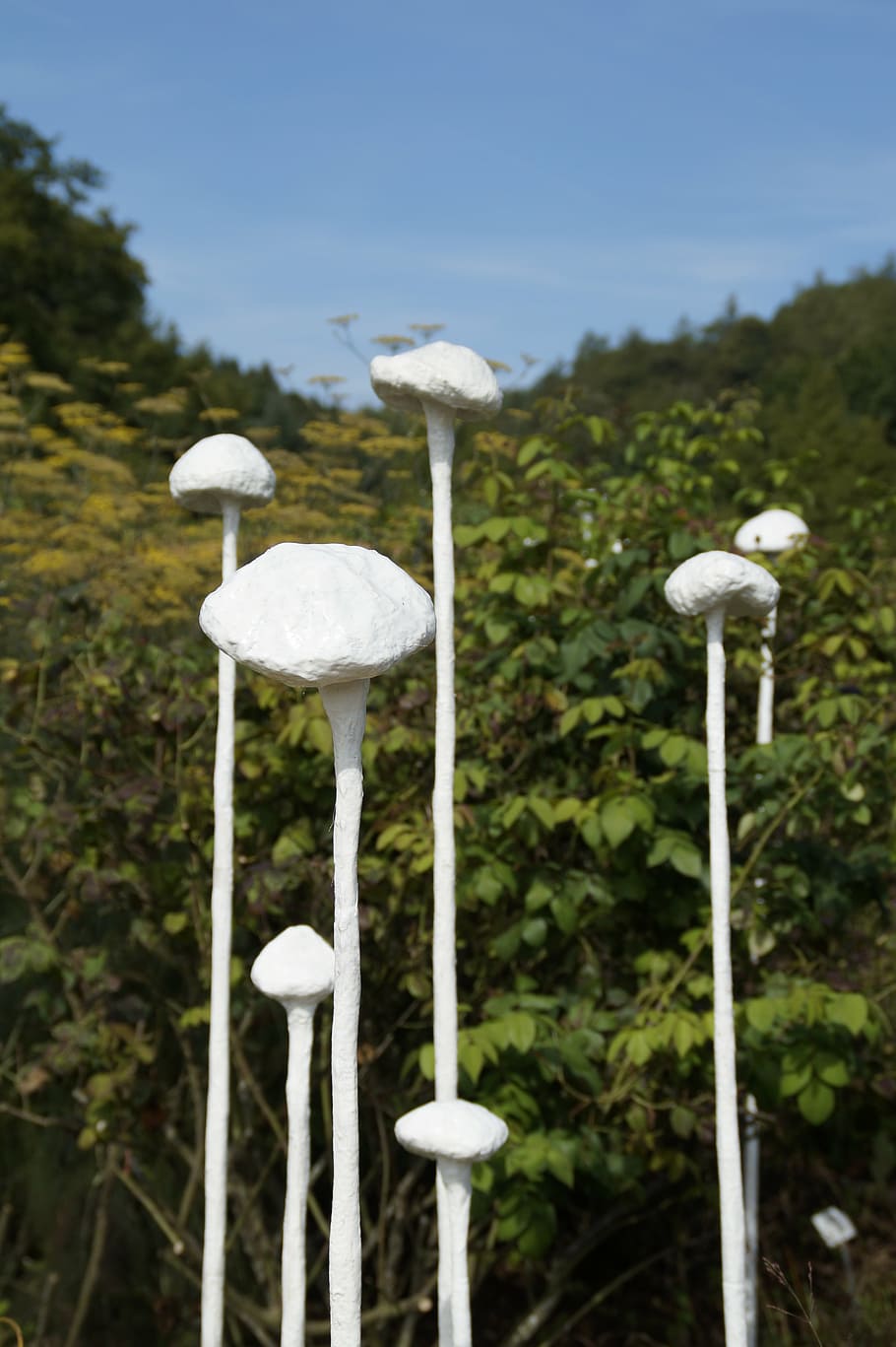art, mushrooms, white, dummy, plant, white color, nature, no people HD wallpaper